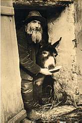 Frédé et Boronali