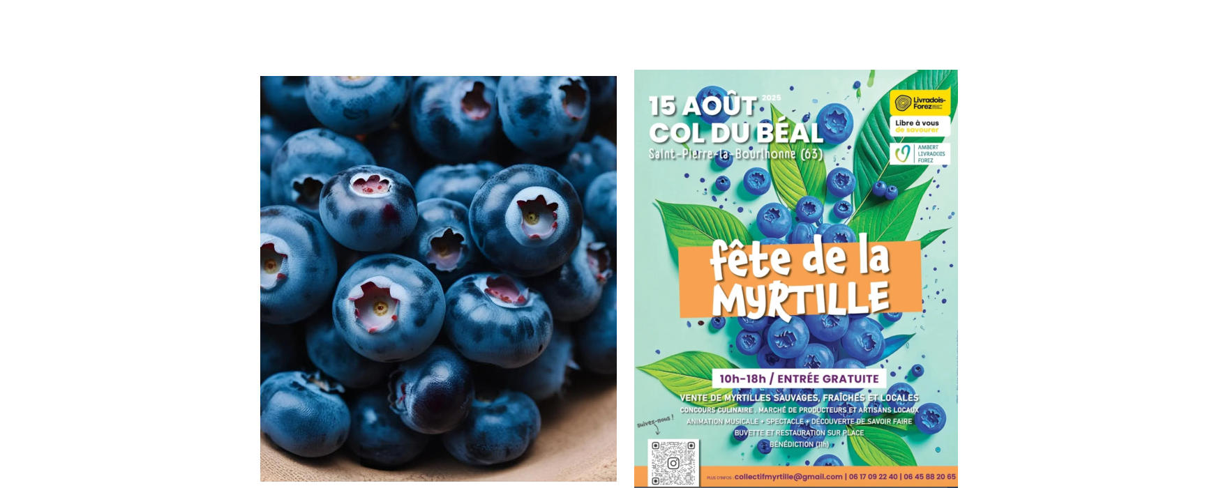 Fête De La Myrtille Col Du Béal 2022